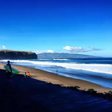 Surfer's Nest *